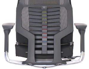 Modificarea Curbura Zona Lombara