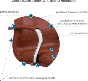 directoariale monobloc scoica 