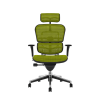 Scaun Ergohuman Classic PDH KMD V1 Verde imagine 