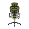 Scaun Ergohuman Classic PDH KMD V1 Verde imagine 