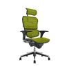 Scaun Ergohuman Classic PDH KMD V1 Verde imagine 