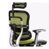 Scaun Ergohuman Classic PDH KMD V1 Verde imagine 