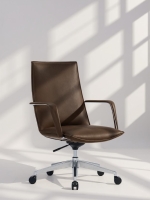 Scaun Carlo Conference