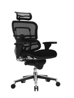 Scaun Ergohuman V1 Sezut Tapitat