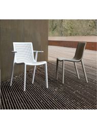 Colectia Scaun BeeKat