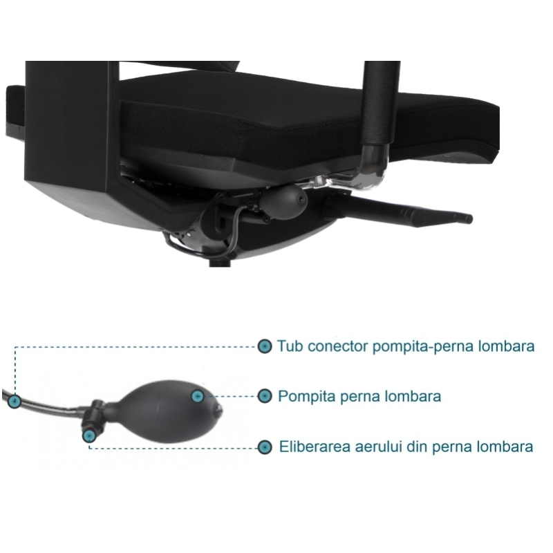 Pernita lombara integrata in spatar