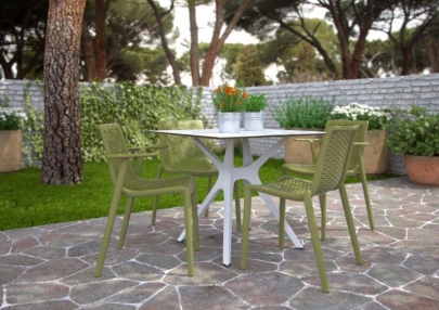 Colectia Scaun NetKat imagine principala