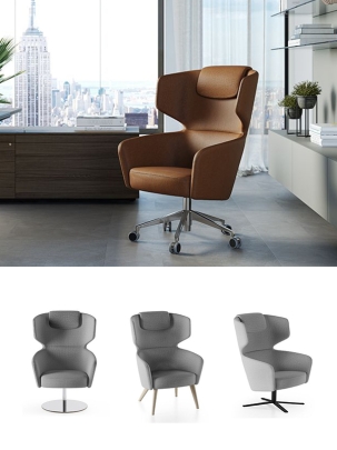 Colectia Lion Office imagine principala