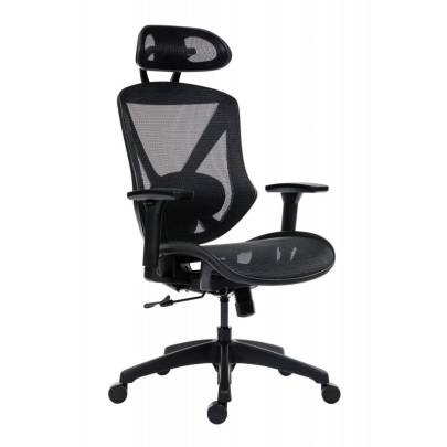 Scaun Aero Pro imagine principala