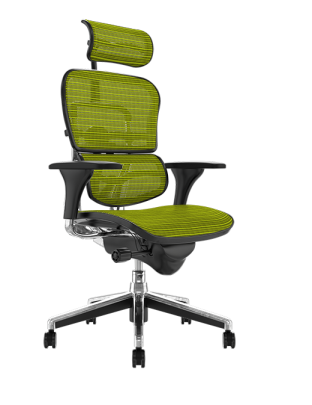 Scaun Ergohuman Classic PDH KMD V1 Verde imagine principala