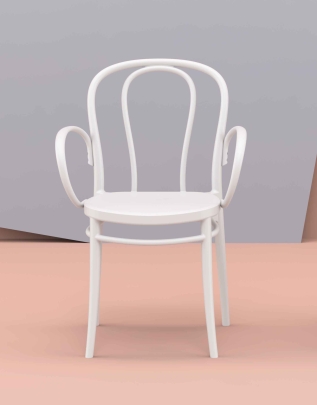 Scaun Victor Brate imagine principala