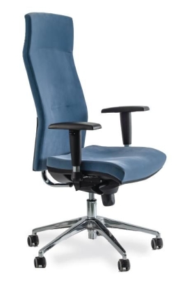 Scaune Ergonomice 2310 Class imagine principala